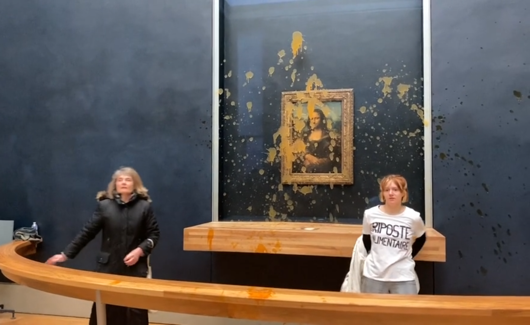 Soup Protest Splashes Mona Lisa